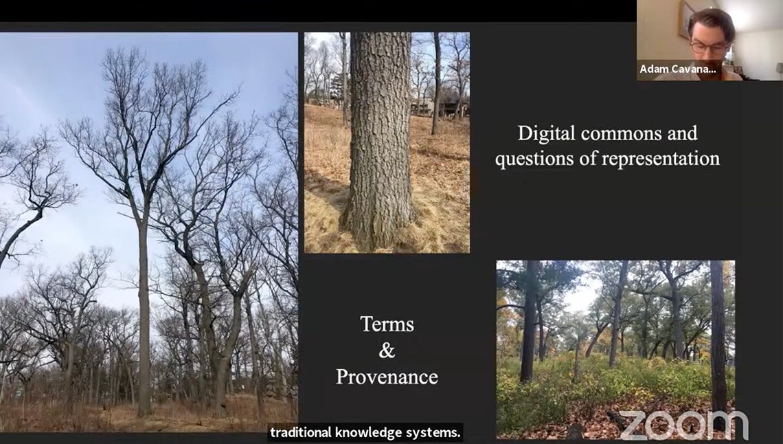 Zoom screenshot showing High Park's Black Oak Savannah with the copy "Digital commons and questions of representation" and "terms & provenance"