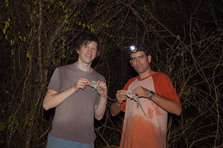 photo of researchers with lizards