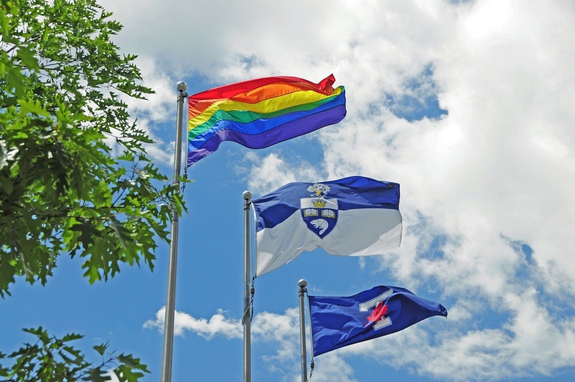 photo of Pride flag