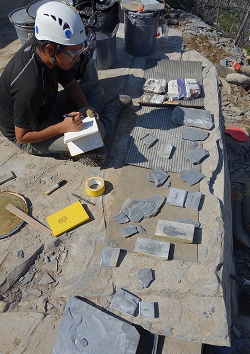 photo of Nanglu at the site