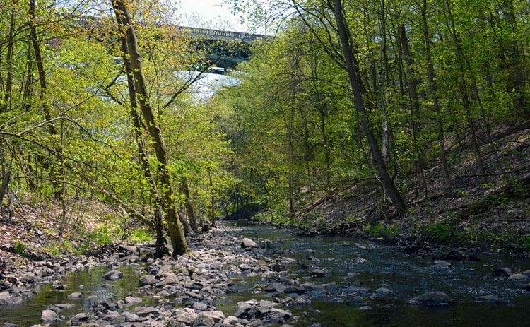photo of ravine with stream below and bridge overhead