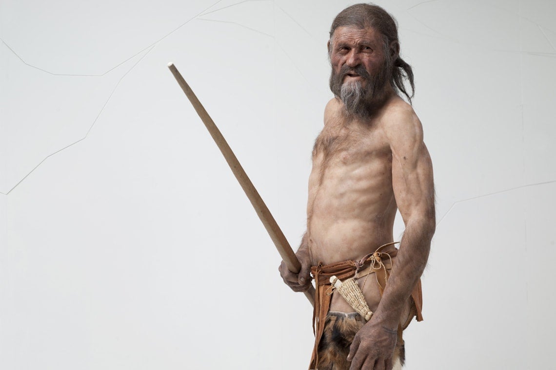 Iceman otzi the Solving the