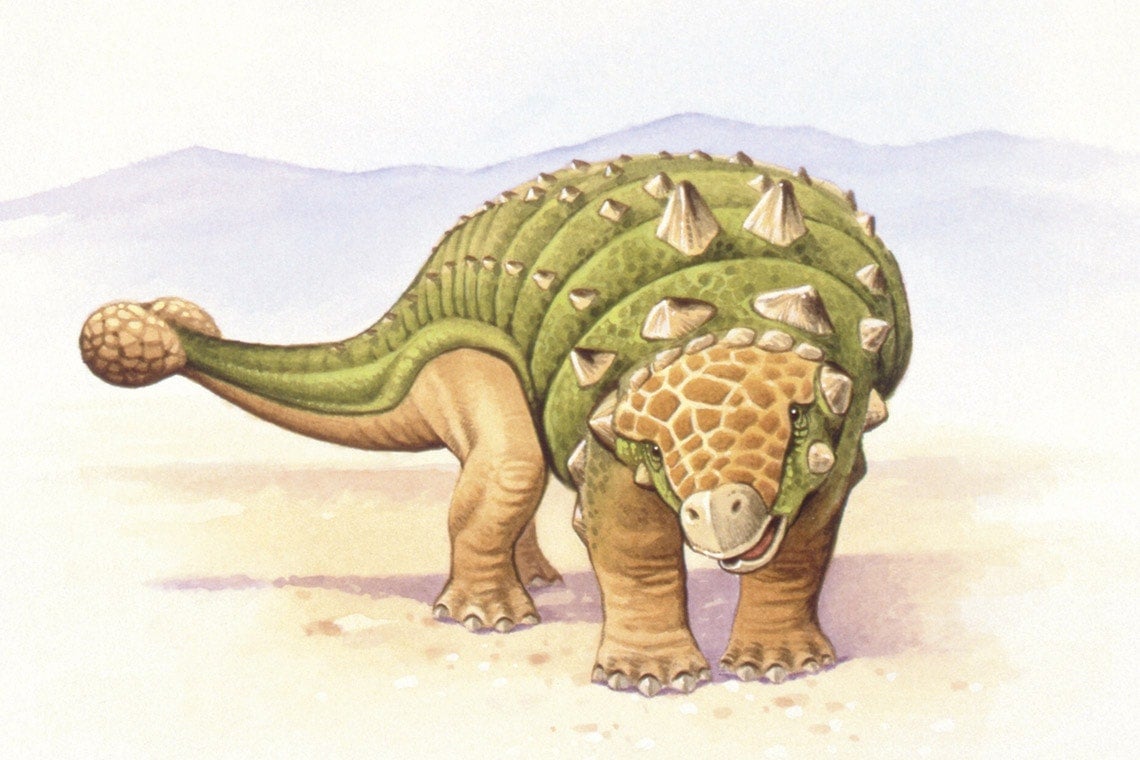 Illustration of ankylosaurus