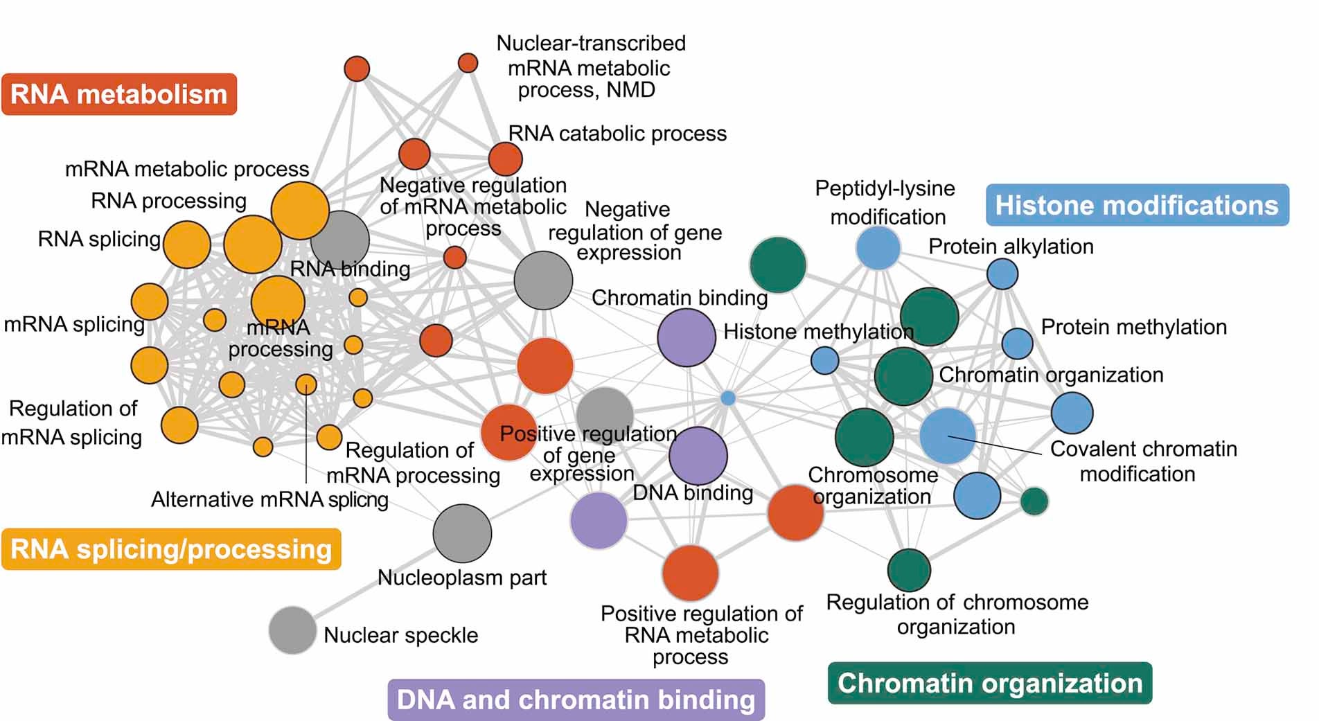 illustration of the molecular process