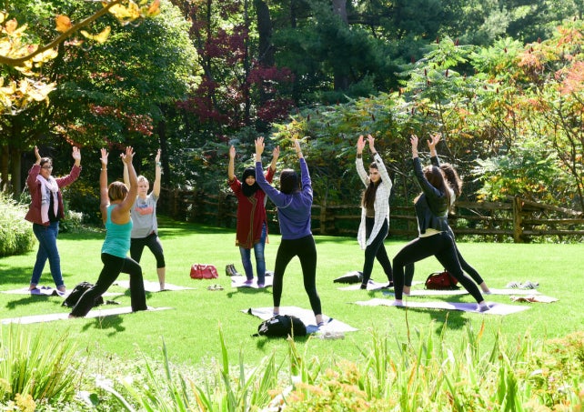 A group of people doing yoga outside