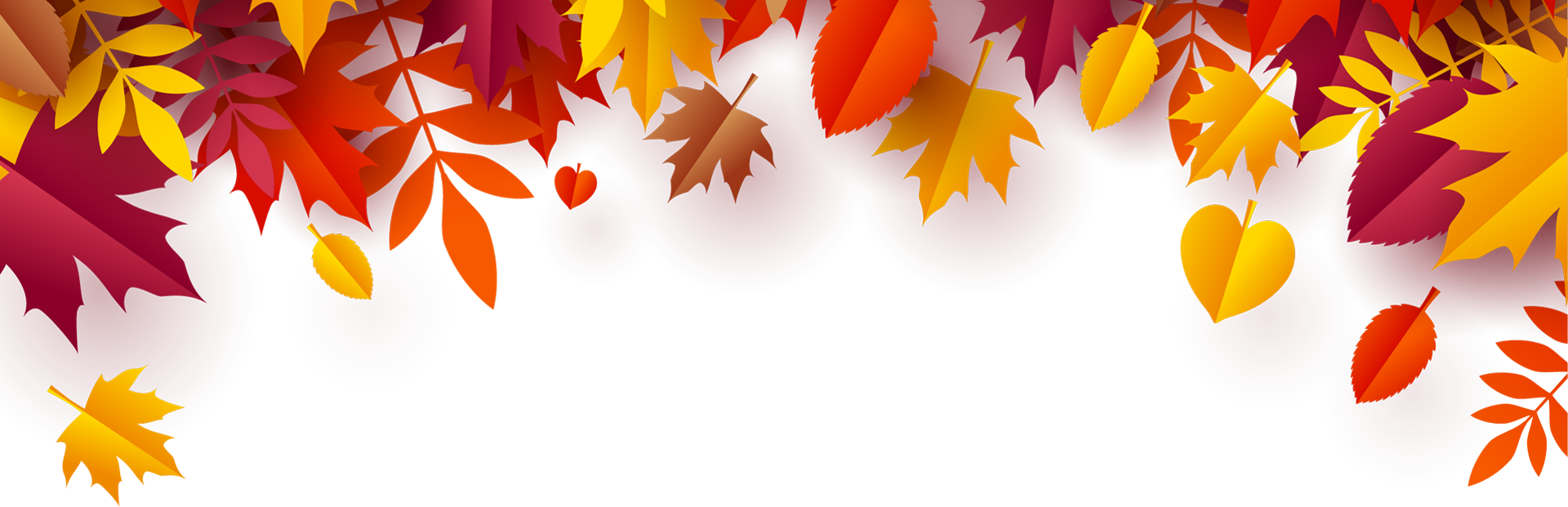 Fall Convocation