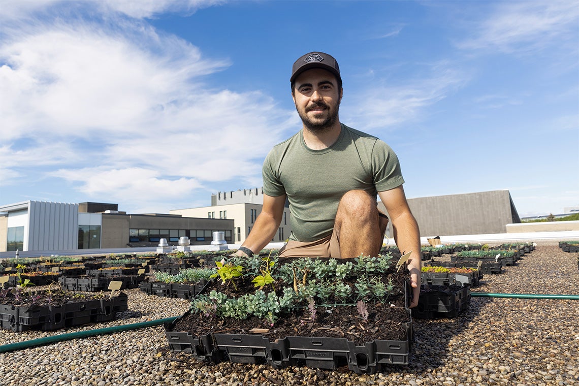 Don Campbell on a green roof module