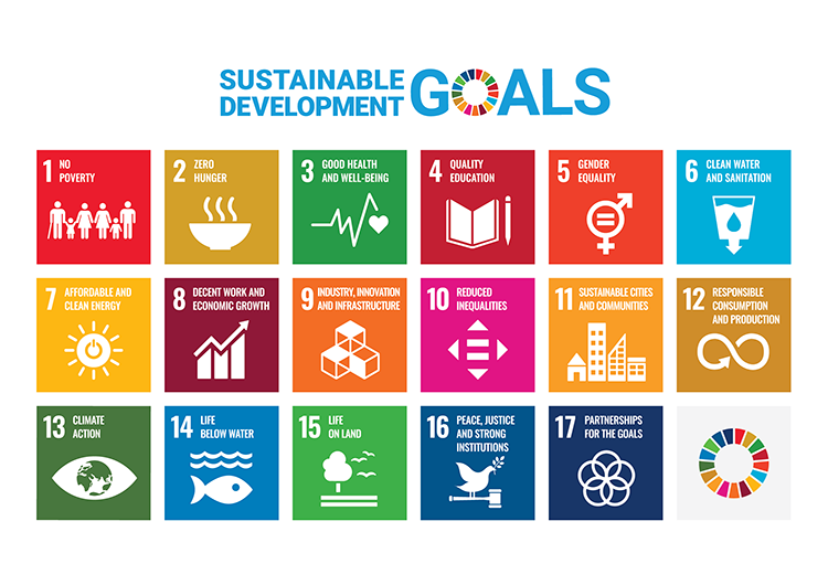 UN sustainability goals infographic
