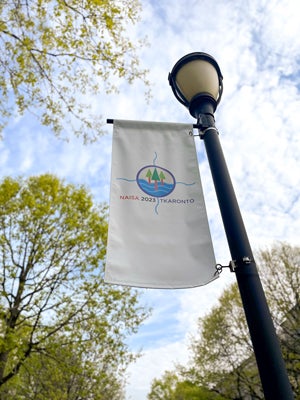 Lightpost with NAISA Conference flag