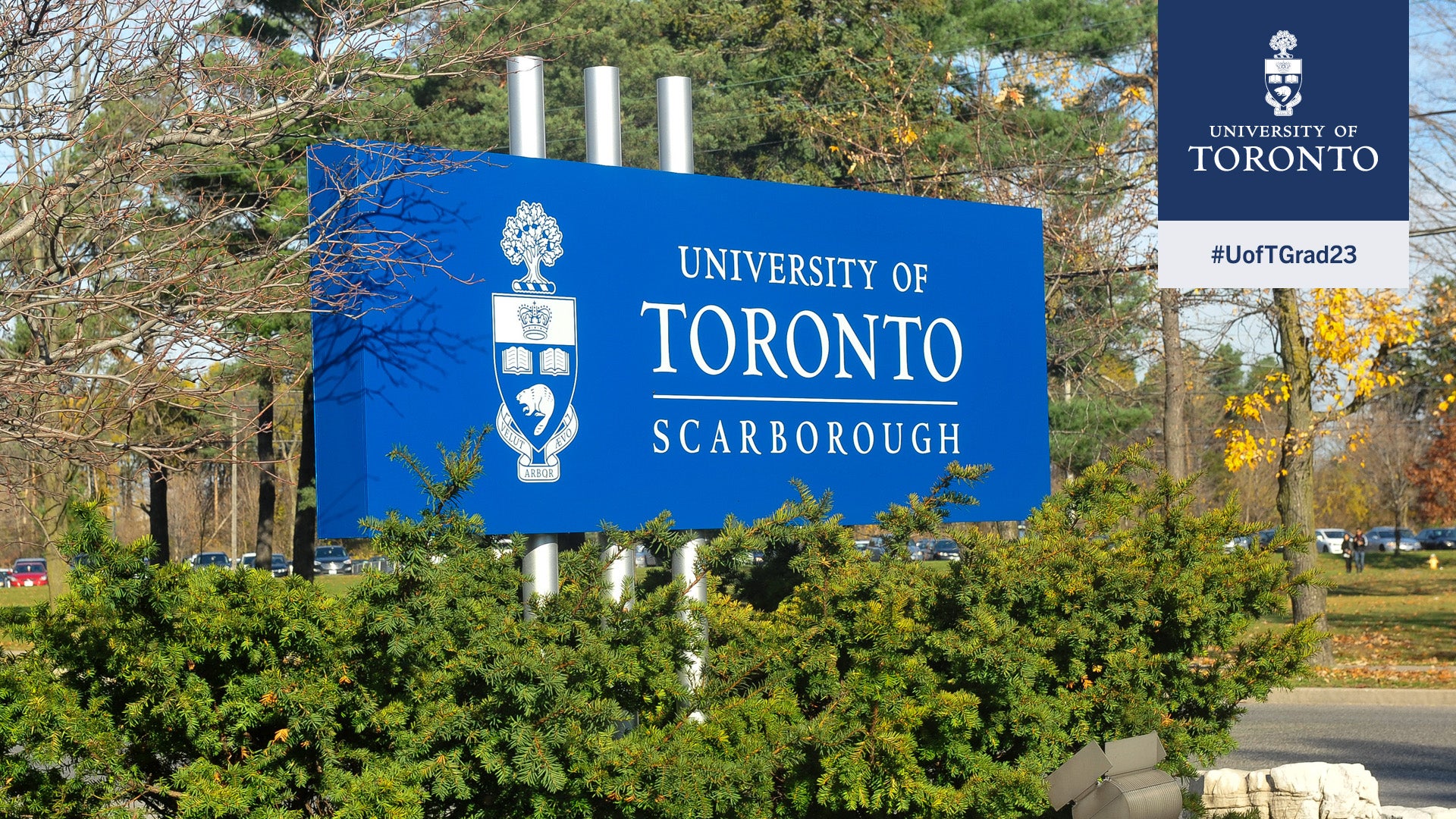 UTSC campus sign, surrounded by fall foliage