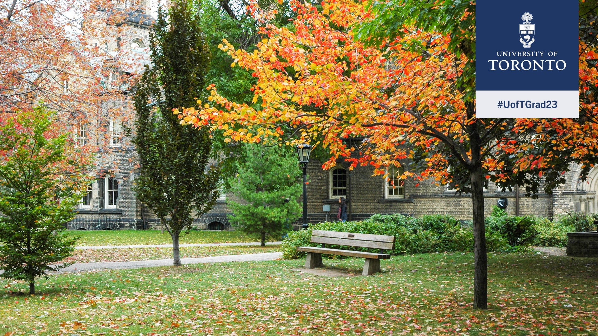 U of T St. George campus in the fall season