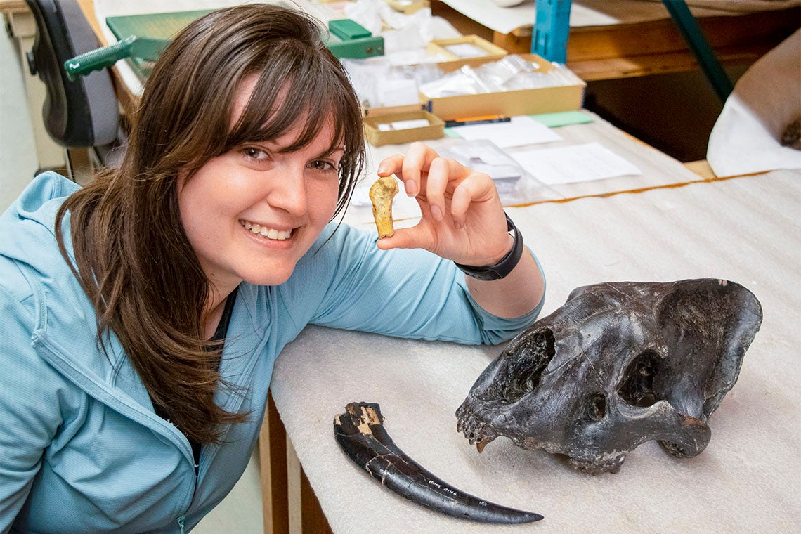 Ashley Reynolds holds the Smilodon fatalis metacarpal from Medicine Hat, Alberta