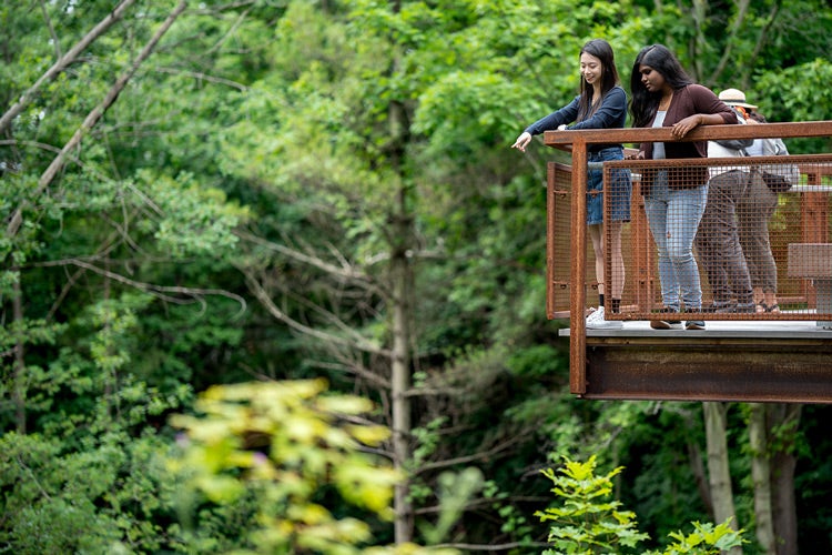 students look out from the land valley trail path on a raised platform