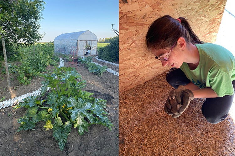 Two photos showing The Hamel farm and Brenna holding a small rabbit on the farm
