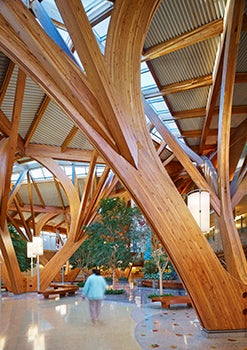 main lobby of the credit valley cancer centre