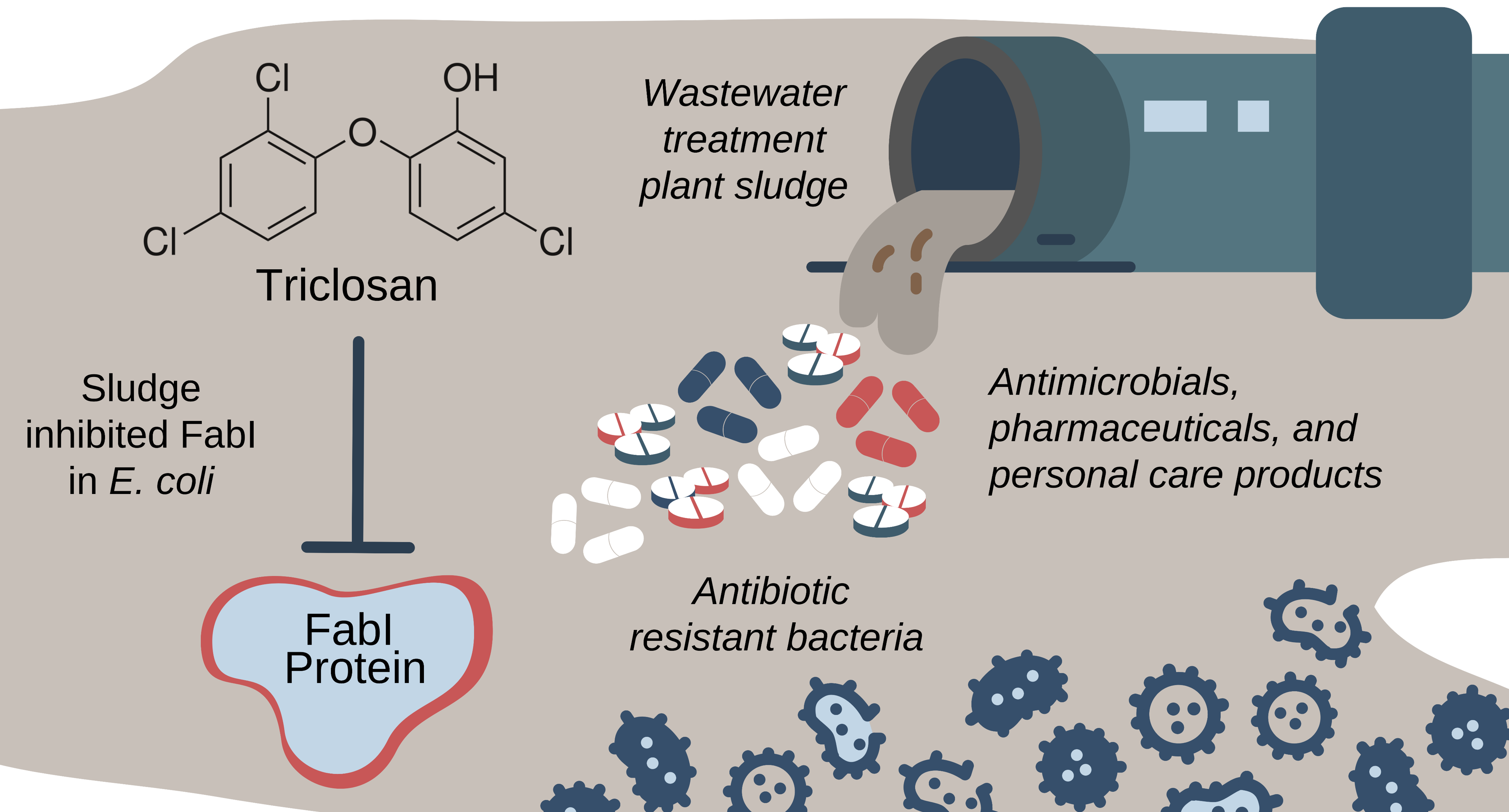 Illustration shows the path of triclosan through the sewage system