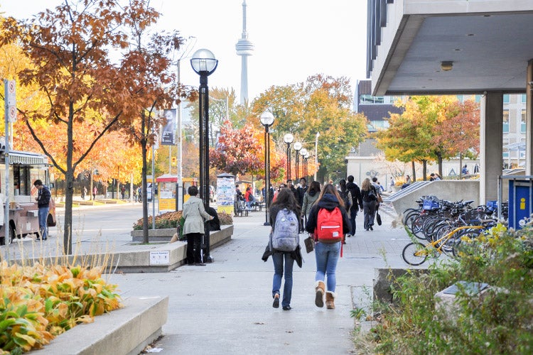 students walking on st george on a fall afternoon