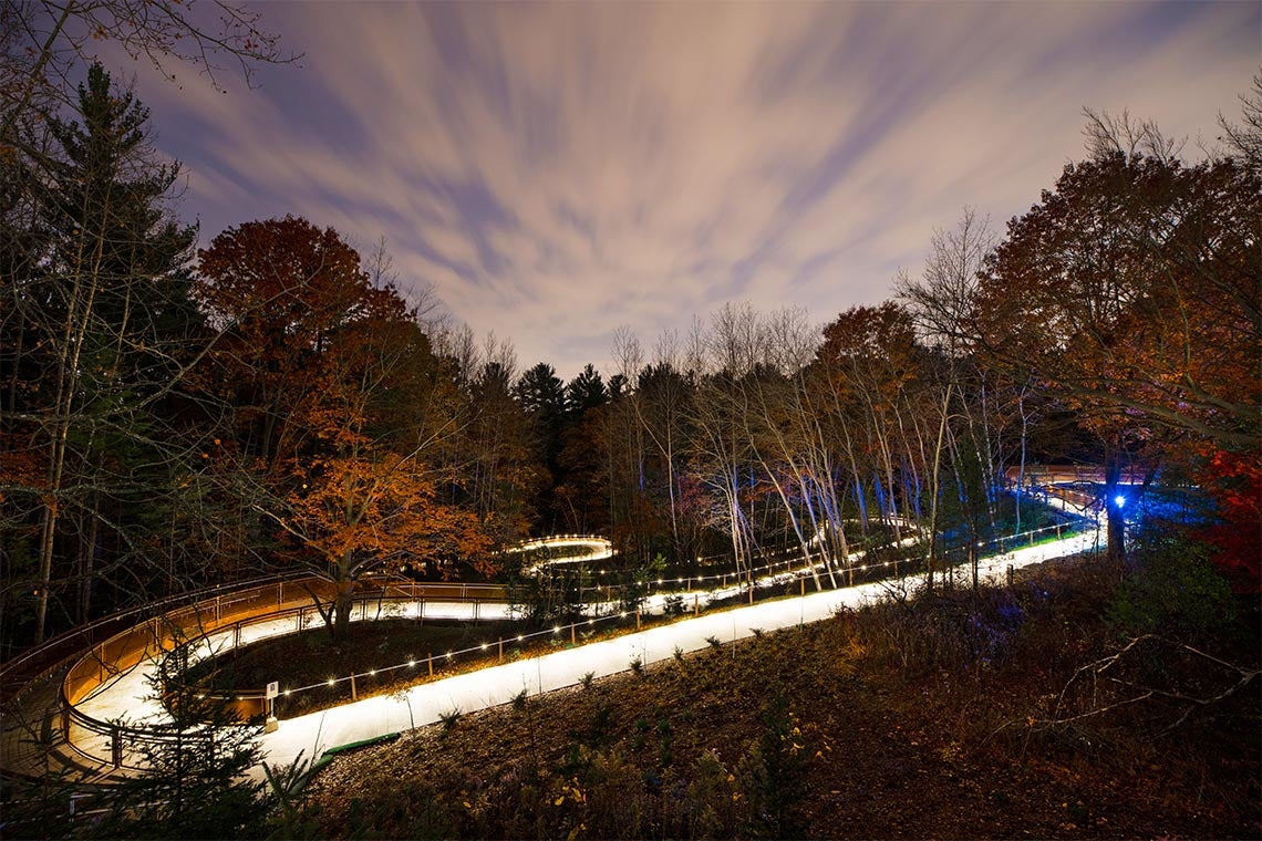 the land valley trail snakes through the forest behind UTSC at dusk in fall
