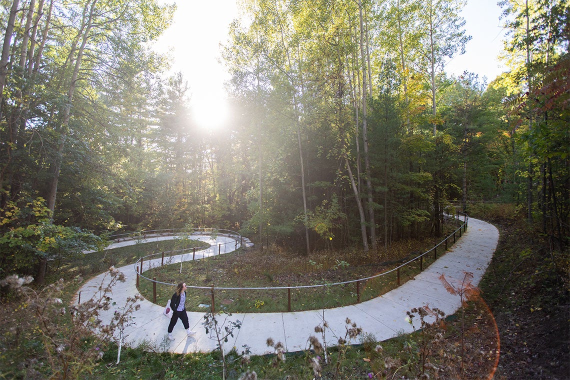 The Land Valley trail at the university of toronto scarborough campus is lit by sunlight