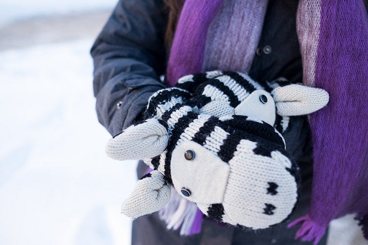 Zebra mittens