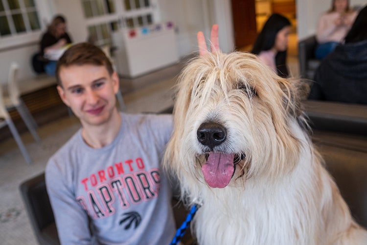 Cosmo Great Pyrenees dog at Faculty of Law