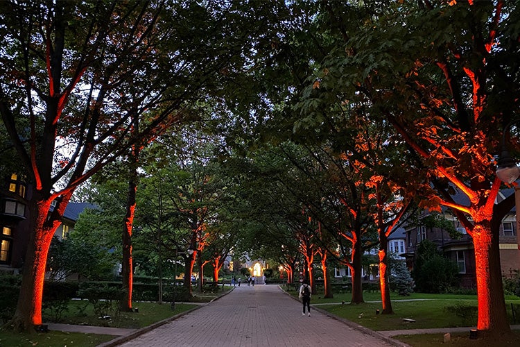 Orange lights for Orange Shirt Day at Elmsley Place at St. Michael's College