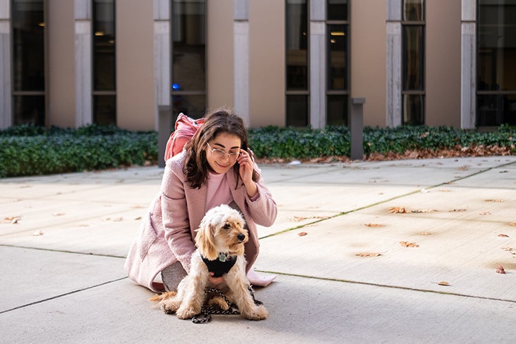 Cockapoo Emmy at law students' doggie day