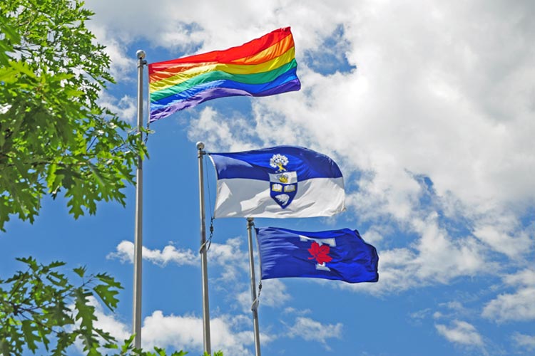 pride and U of T flags