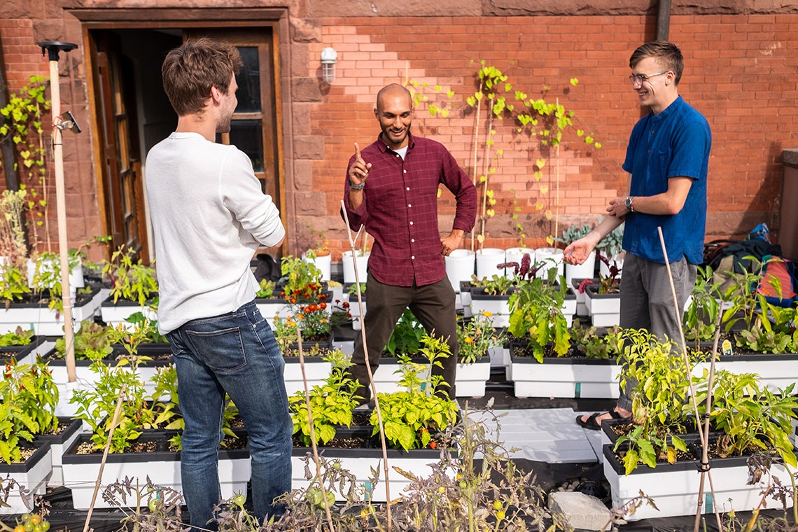 Nicolas Côté, Rashad Brugmann and Nathan Postma in Trinity College's rooftop garden 