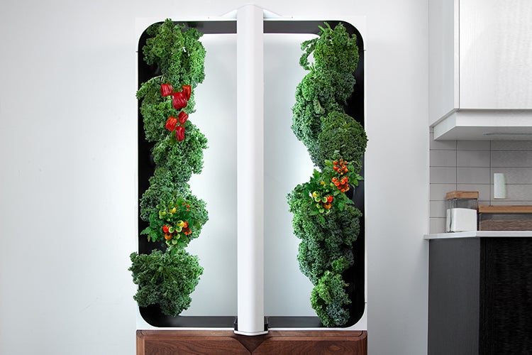 Just Vertical’s urban farming framework holds tomatoes, peppers and kale growing in tall rows next to a light column
