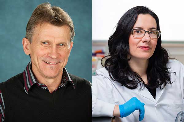 composite photo of  Professor Peter Herman and Professor Milica Radisic