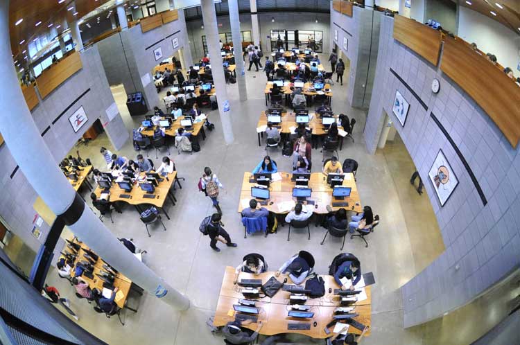 photo of students studying in library