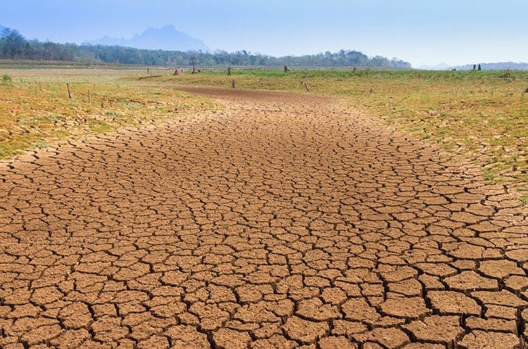 Photo of Thailand drought