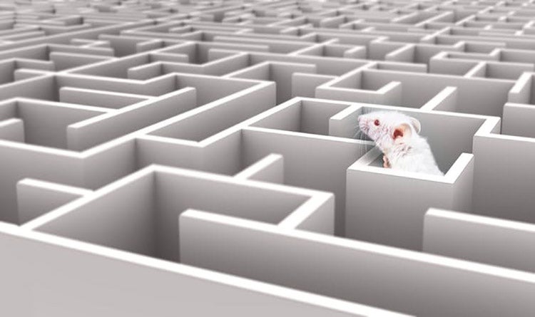 Navigating the AI maze is a challenge for governments