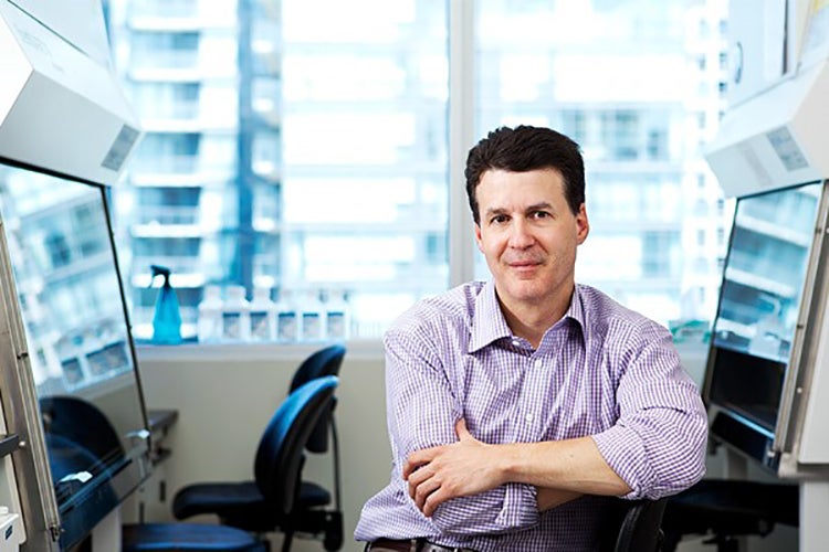 Photo of Professor Stephen Scherer