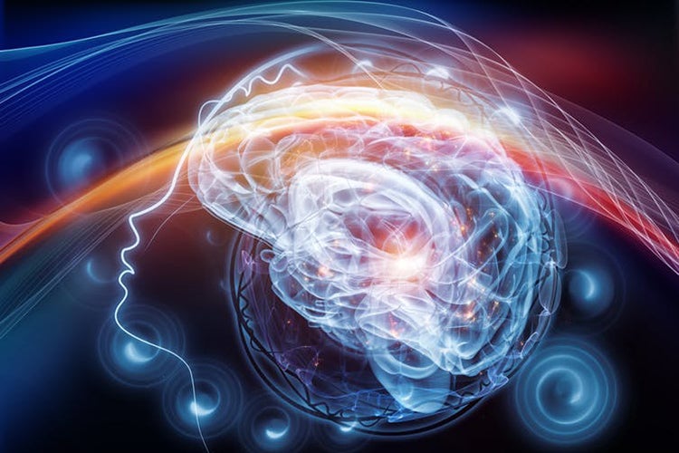 Shutterstock image of the brain