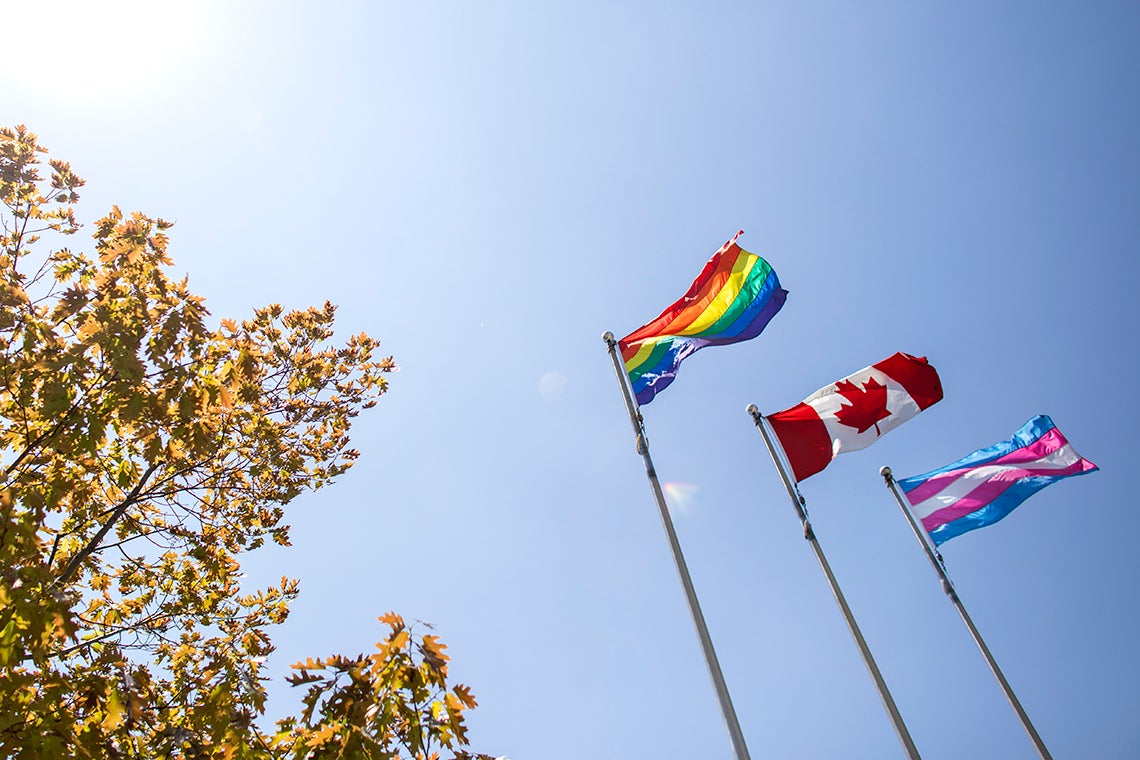 Photo of Pride flags