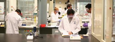 Researchers and students work in a lab.