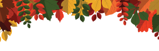 Fall Convocation leaves