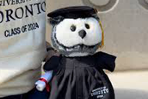 A stuffed toy convocation owl