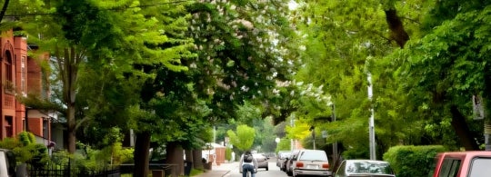 a person rides their bike on a neighbourhood street