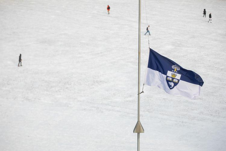 Photo of a U of T flag flying at half mast with a field of snow in the background