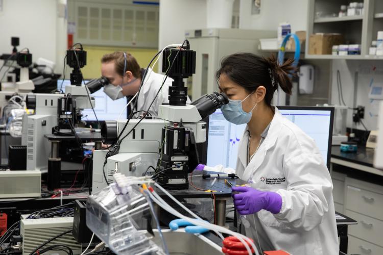 Electrophysiology lab at Mount Sinai