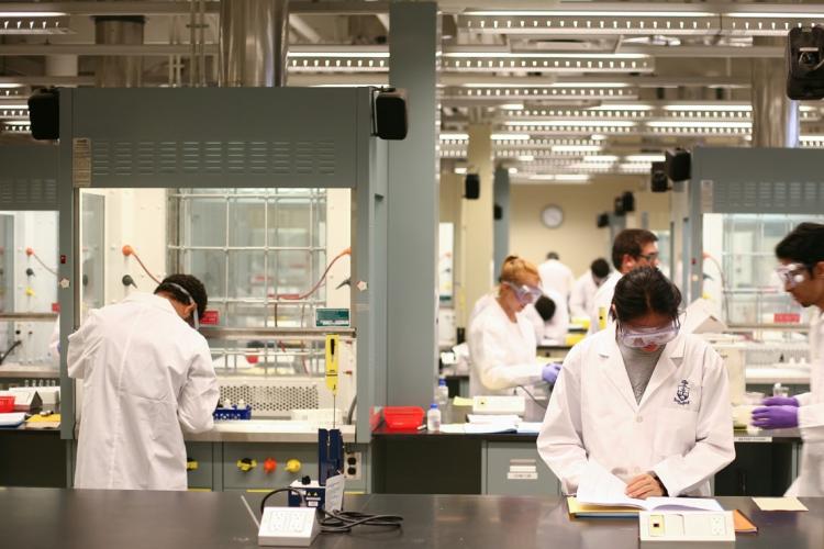 Medical students conduct research in a laboratory