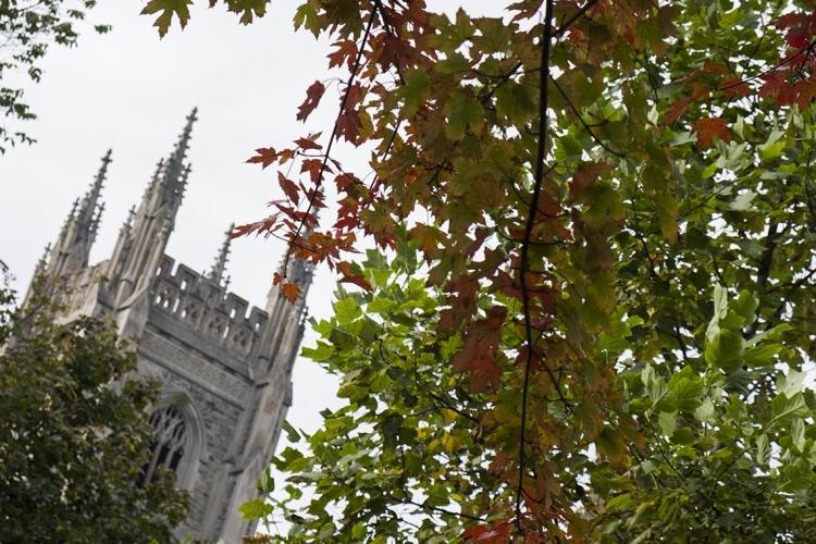 Picture of fall on downtown Toronto campus