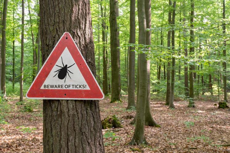 Photo of tick warning