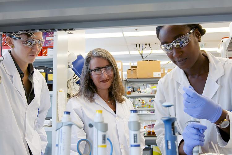 Photo of Leah Cowen and other researchers in lab