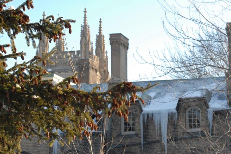 Photo of winter scene at U of T