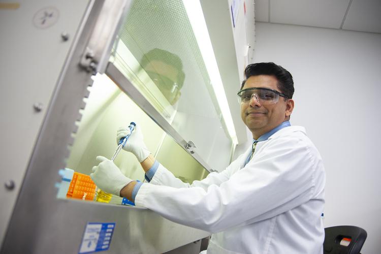 Anil Kishen working under a fume hood in a laboratory