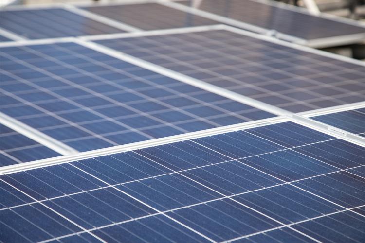 Close up of solar panels on the roof of 255 mccaul